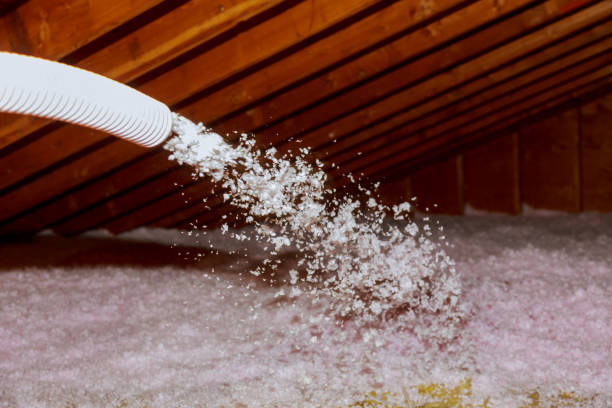 Best Insulation Materials and Products in Trenton, TN