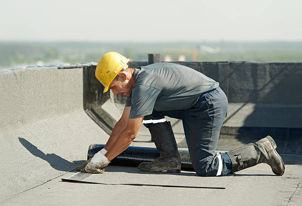 Best Insulation Installation Services in Trenton, TN